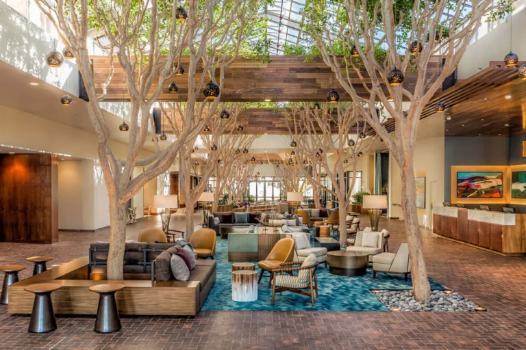 Top Energy Efficient Hotels in the US: A Blueprint for Regenerative Hospitality